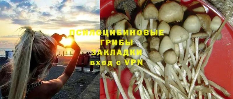 Псилоцибиновые грибы MAGIC MUSHROOMS  как найти закладки  Светлый 